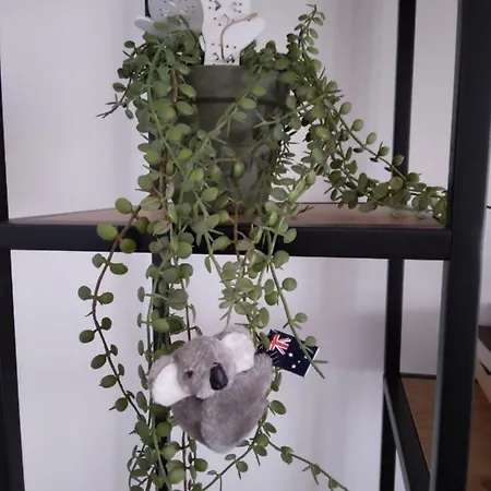 Apartamento Promenada